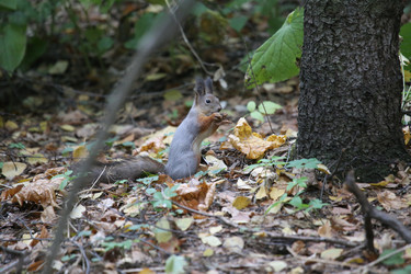 Similar image 9387188