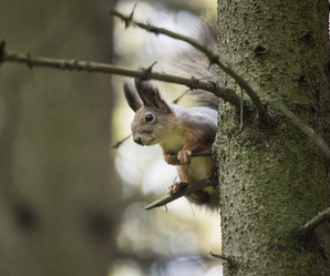 Similar image 9387189