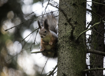 Similar image 9387192