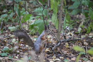 Similar image 9387194