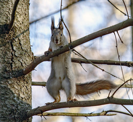 Similar image 9387200