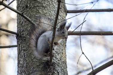 Similar image 9387202