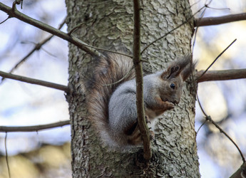 Similar image 9387203