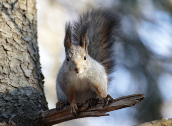 Similar image 9387206