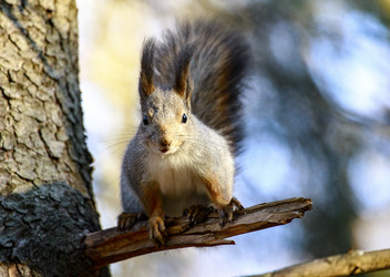 Similar image 9387208