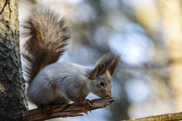 Similar image 9387211