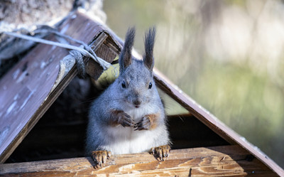 Similar image 9387213