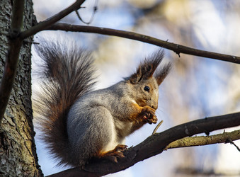 Similar image 9387215