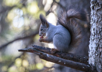 Similar image 9387217