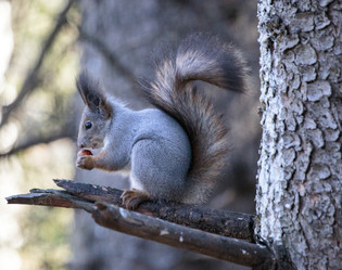 Similar image 9387219