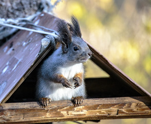 Similar image 9387225