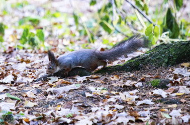 Similar image 9387272