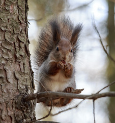 Similar image 9387274