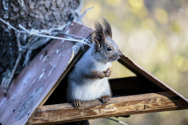 Similar image 9387277