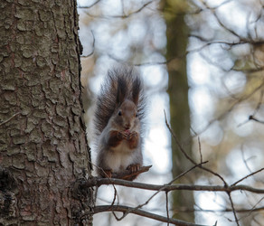 Similar image 9387278