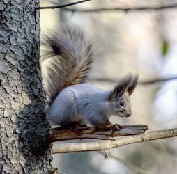 Similar image 9387281