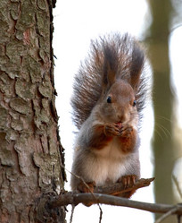 Similar image 9387283