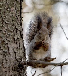 Similar image 9387285