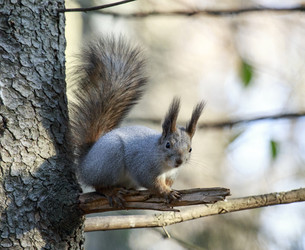 Similar image 9387287