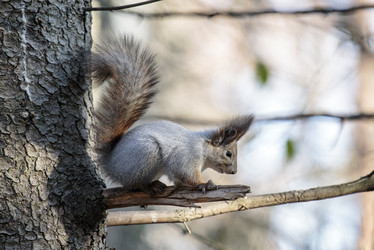 Similar image 9387290