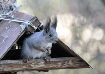 Similar image 9387291