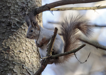 Similar image 9387293