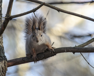 Similar image 9387295