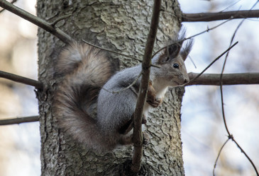 Similar image 9387297