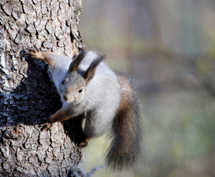 Similar image 9387299