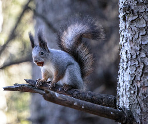 Similar image 9387302