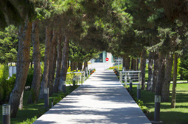 Similar image 9387933