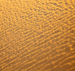 Similar image 9388479