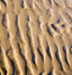 Similar image 9388511