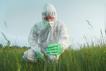 Similar image 9388520