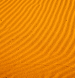 Similar image 9389112