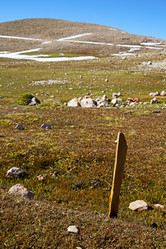 Similar image 9389143