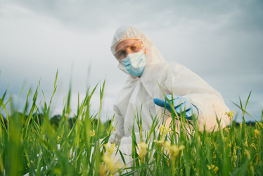 Similar image 9389429