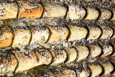 Similar image 9389475