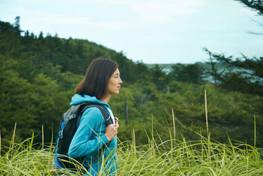 Similar image 9389716