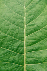 Similar image 9389952