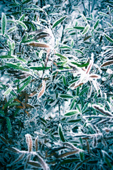 Similar image 9390331