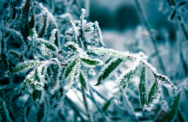 Similar image 9390333