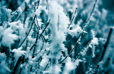 Similar image 9390335