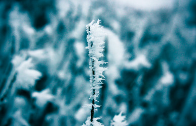 Similar image 9390337