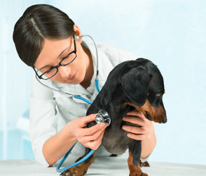 Similar image 9390493