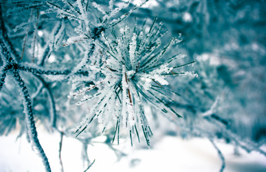 Similar image 9390521