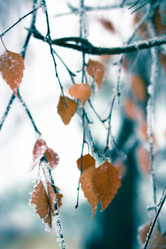 Similar image 9390525