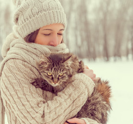 Similar image 9390587