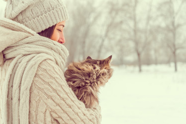 Similar image 9390596