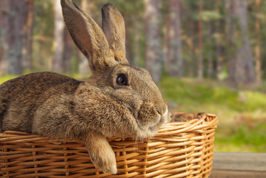 Similar image 9390607